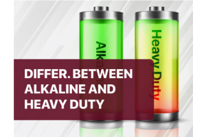 Difference Between Alkaline And Heavy Duty Batteries